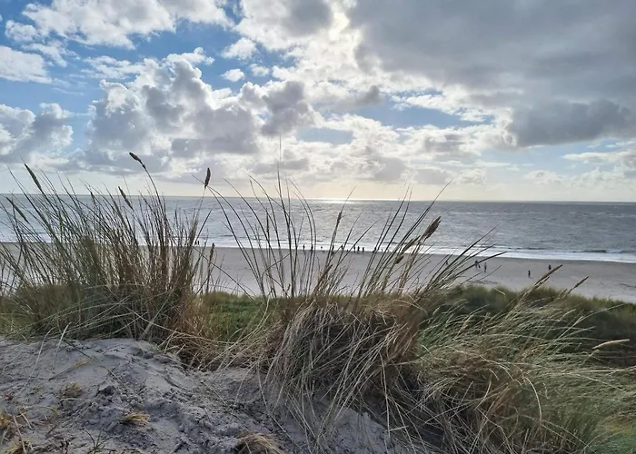 4 Person In * Blåvand